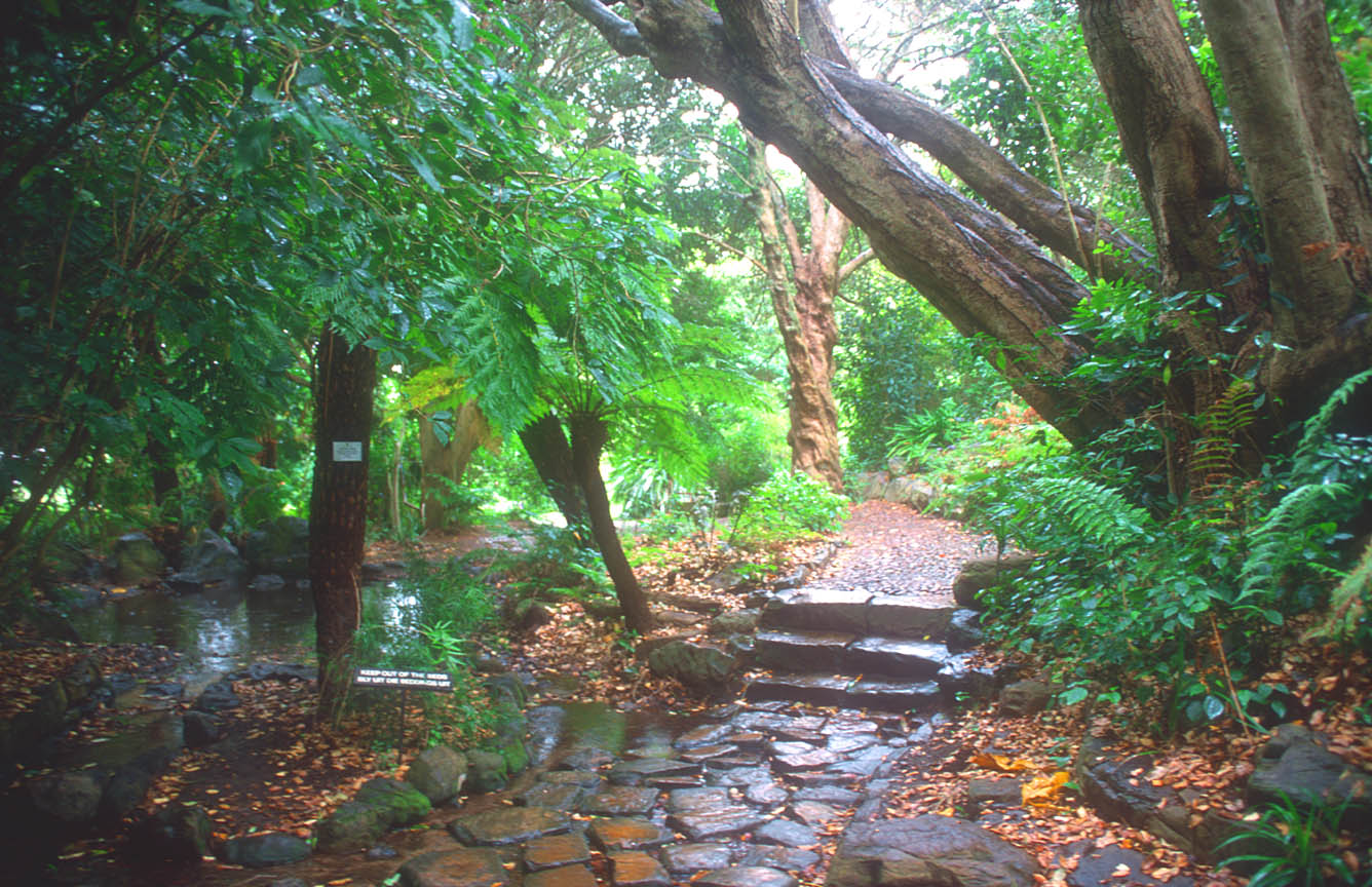 Cape Town Kirstenbosch Botanical Gardens
